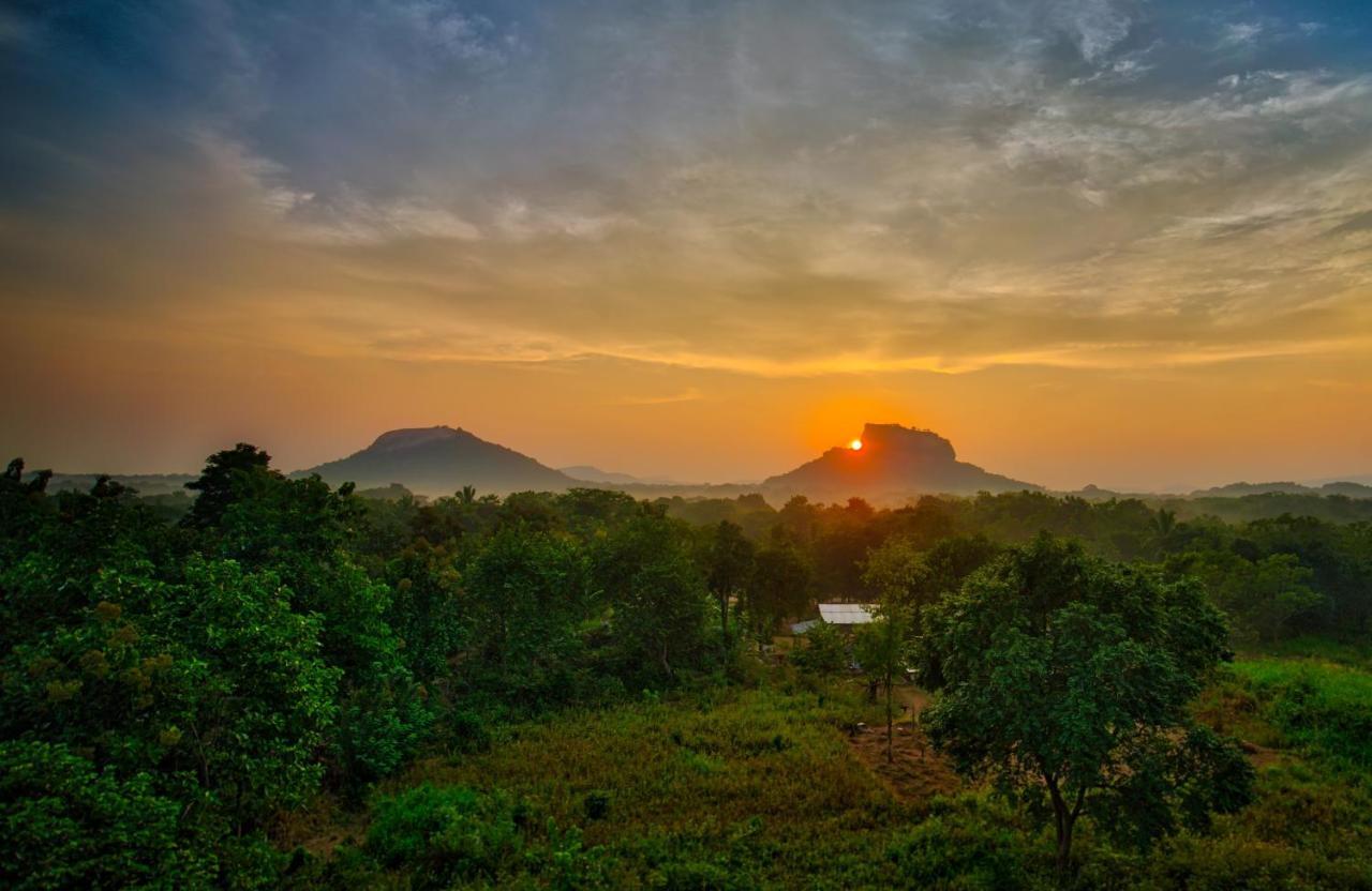 Choona Lodge 'View Of Sigiriya & Pidurangala With Sunrise' Kültér fotó